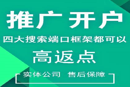 sem竞价托管代运营的五大经典案例